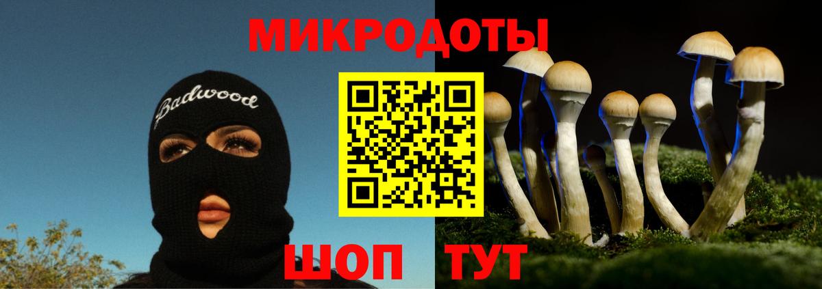 Галлюциногенные грибы Cubensis  Вход с VPN  Великие Луки  Галлюциногенные грибы мухоморы 